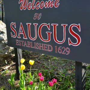 Tulips bloom at the Welcome to Saugus sign on the corner of Fairmount Avenue in Lynnhurst. (Photo courtesy of Laura Eisener)