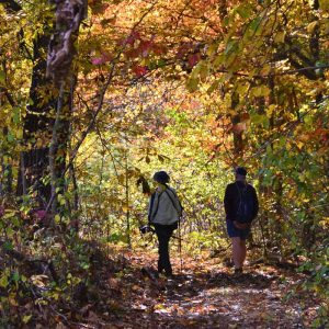 Two hikers walk this week-2