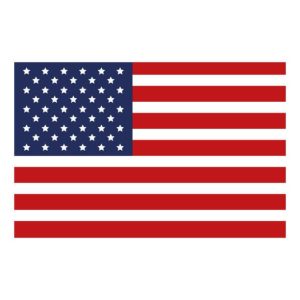 USA flag isolated icon vector illustration design