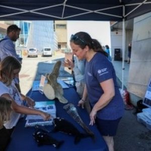 Visitors learn about right whales