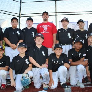 White Sox-2