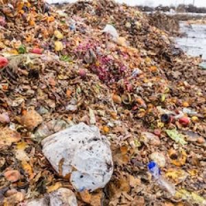 Experts say that discarded food waste accounts for up to 25% of the total waste stream in Massachusetts landfills (shown above). Local municipal officials are calling on Gov. Maura Healey to support responses to address the situation. (Courtesy Photo)