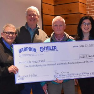 harpoon check presentation-2