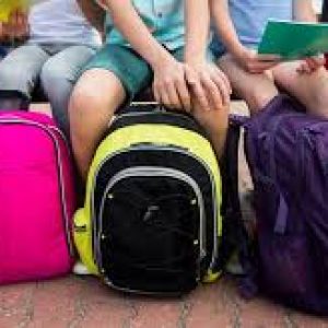 Revere school parents are being asked to check their students' backpacks for signs of bed bugs after a breakout in three instances the past two weeks, according to an online report. Courtesy Photo