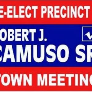 precinct 2