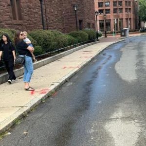 PUDDLES: Puddles and rivulets of raw sewage on Park Street on Wednesday.  (Advocate photo)