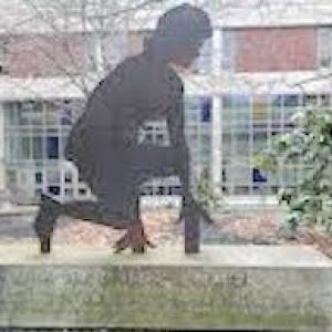 stokes fraser memorial