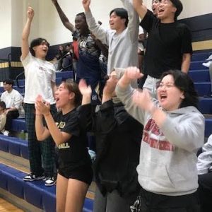 volleyball fan following