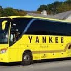 yankee line bus